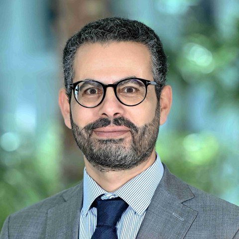 Portrait of Prof. Saleh Ibrahim